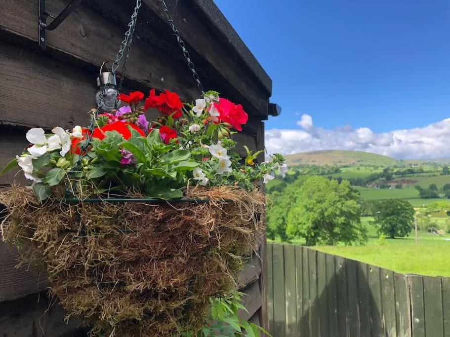 Llanrhaeadr-ym-MochnantThe Retreat别墅 外观 照片